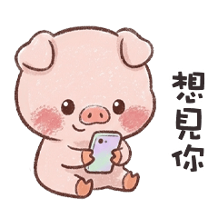pig pig cute 7L