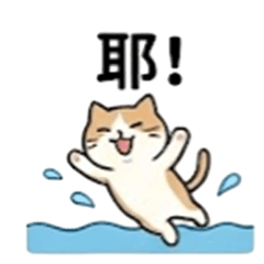 日系夏日水玩貓