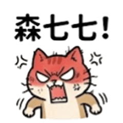 貓貓森七七