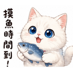 我家的小烏咪