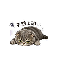 晨曦_
