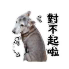 愛狗仔仔1