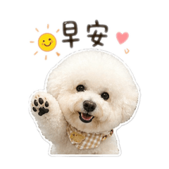 Q版貝貝