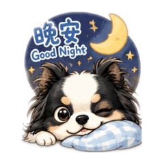 skyli貼圖