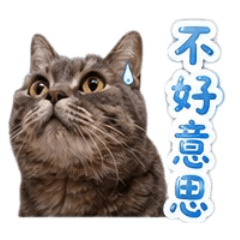 Mandy喵記事上班&生活實用貼圖no.2