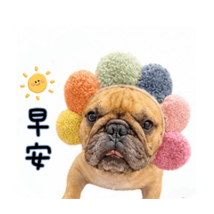 我是法鬥犬～熊Q