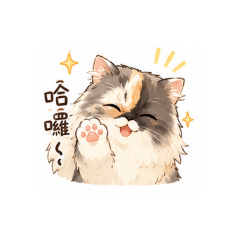 hana ( my cat)