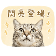 阿可part 1.