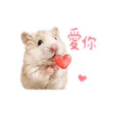 倉倉咬一口日常