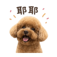 寶貝Q比૮˶ˆ ﻌ ˆ˶ა