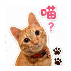 可愛的小平安
