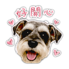 瘋狂雪仔