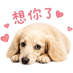 奶油腸的黏黏日常