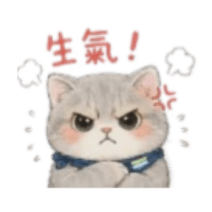 藍寶日