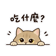 Aries9419 Namy CAT