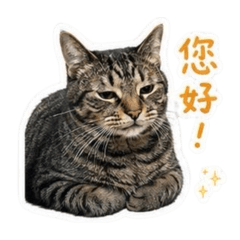 樂多咪咪②
