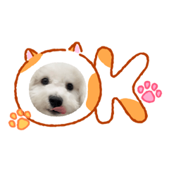 林雞蛋貼圖1