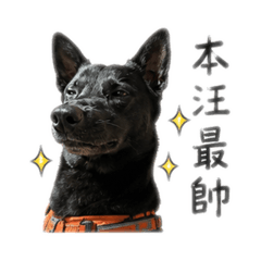 雄雄遇見你❤️❤️