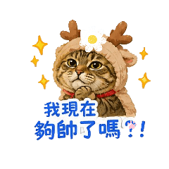 will home姆姆日常