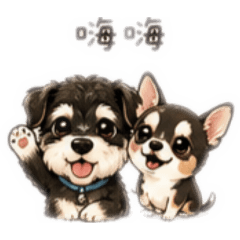 雪納瑞&吉娃娃日常生活1