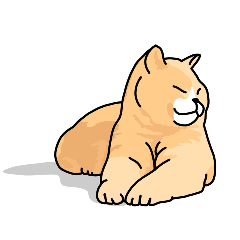 K貓貓貼圖