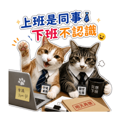 橘橘姐弟與虎斑小弟
