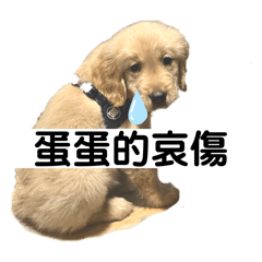 迪芬德先生 大大力