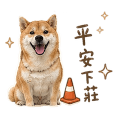 警犬奶茶上班啦!~