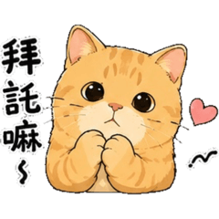 肥肥橘貓日常
