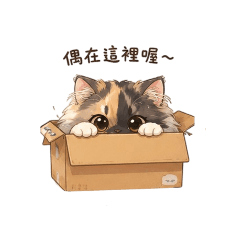 HANA-1 (my cat)