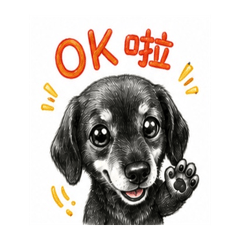 小黑日常|超實用貼圖