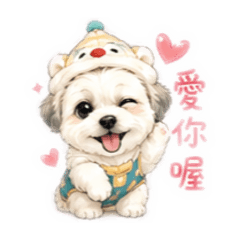 西施犬(李嘟嘟)