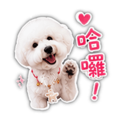 波妞哈1
