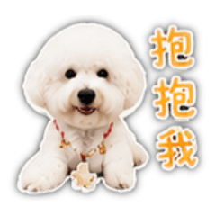 波妞哈2