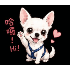 麻吉1234567