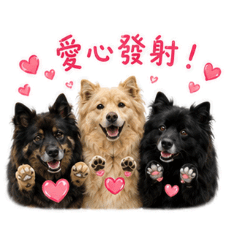 蓬安絨的小日常_3