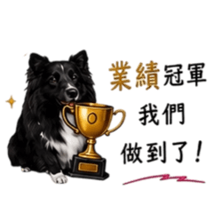 楊可樂業務向前衝