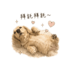 大家好 我叫王球球