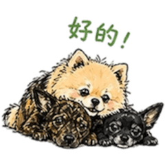 Apple &馬尼&貝貝