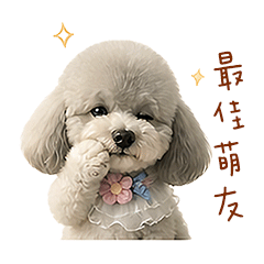 貴賓多多來啦