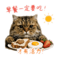 燒燒貓生活日記 媽咪系列