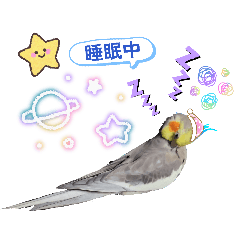 SORA_20260605163047