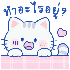 MD: เป็นแมว นุ่ม นุ่ม จ้ำม่ำน่ากอด