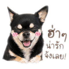 morrrrma_20260501064645