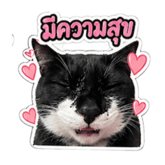 kanom_20260501070404