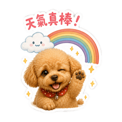 奶油貴賓小妞妞天氣與心情