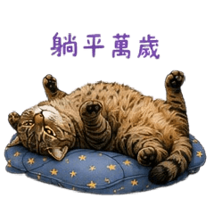 《美短熊熊｜今天不想上班》
