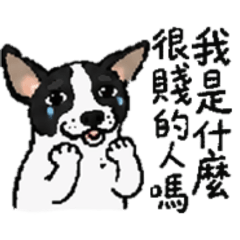 乳牛犬 扭蛋寶寶 3