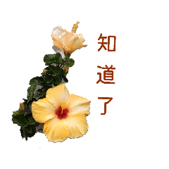 花式問候法