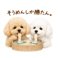 Irodori_20260605163550